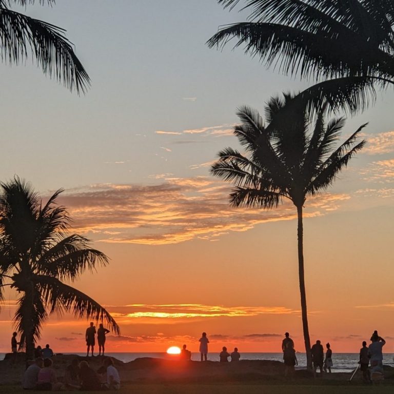 Maui Sunset Silhouettes of people and palm trees against a vibrant sunset sky.